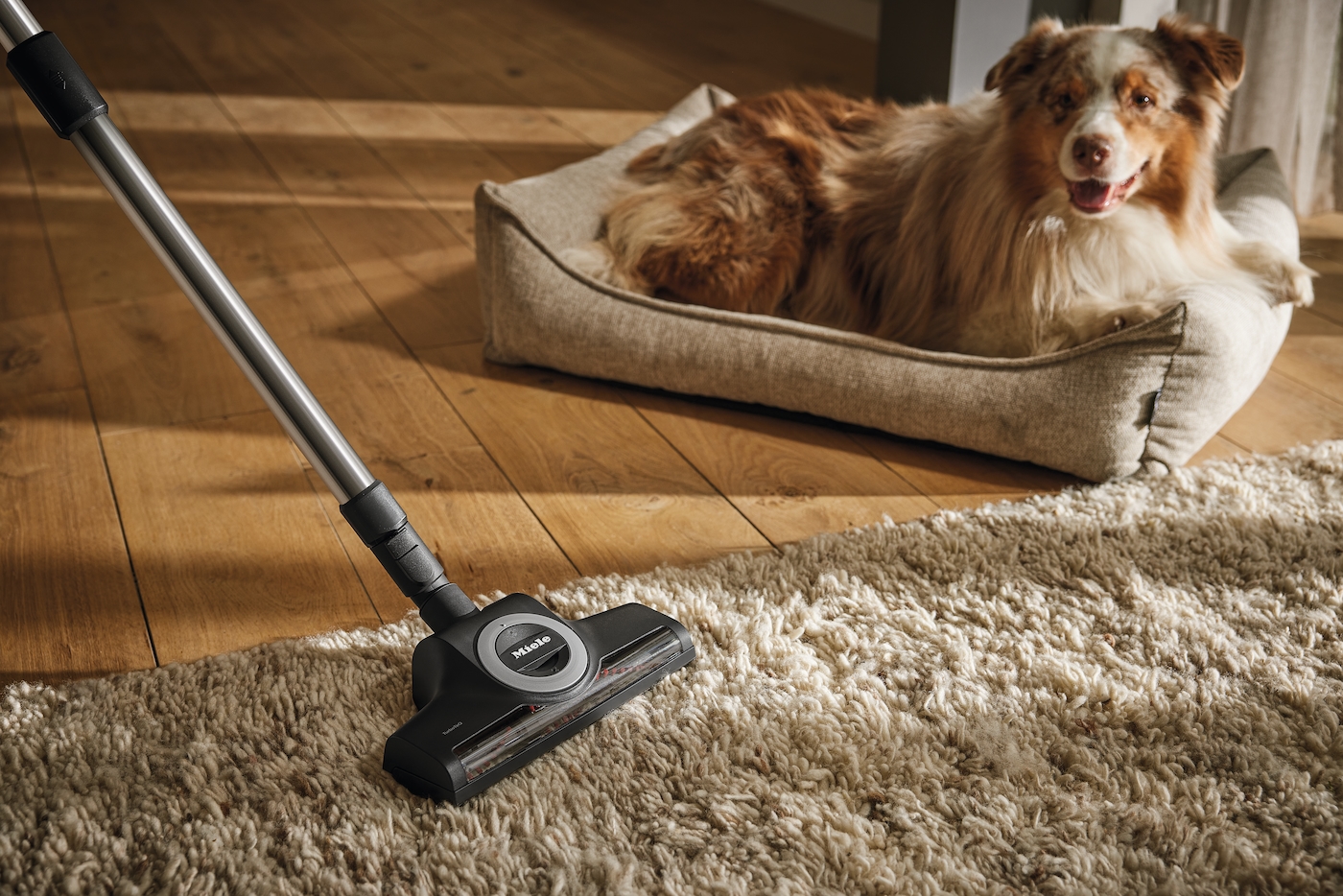 C-HCSZubehörkoffer HomeCare – Bild 5